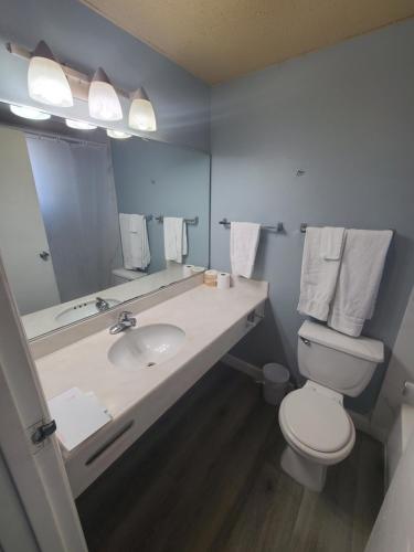 米尔皮塔斯古迹酒店的一间带水槽、卫生间和镜子的浴室