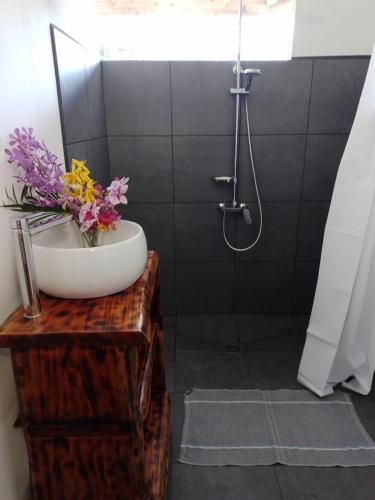 努库希瓦TEMAEVA LODGE的一间带水槽和淋浴的浴室