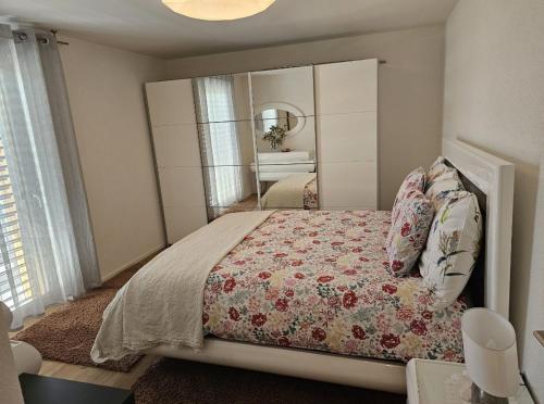 沙泰勒圣但尼la perle des paccots的一间卧室配有一张带大镜子的床