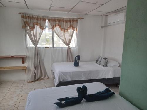 巴克里索莫雷诺港Casa de Alexis的客房设有两张床和窗户。
