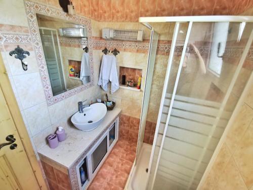 亚历山德鲁波利斯Villa Elli的一间带水槽和淋浴的浴室