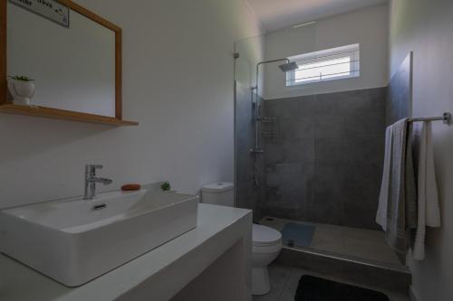 Coteau RaffinLes Pêcheurs的一间带水槽、卫生间和镜子的浴室
