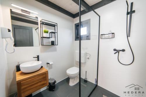 索瓦塔Hedera Sovata的浴室配有卫生间、盥洗盆和淋浴。