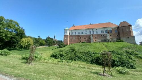 桑多梅日Pokoje gościnne Sandomierz的绿色山顶上的大型建筑