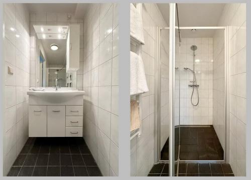豪滕Borneman Buitenhof - Privé Appartement的白色的浴室设有水槽和淋浴。