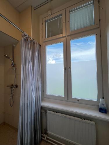 卡尔斯塔德Carlstad Sport Hostel的带淋浴帘和窗户的浴室