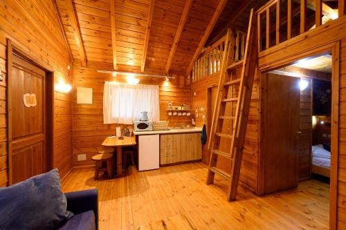 纳欧特哈基卡贝尔弗的死海小屋的木舱,房间内设有梯子