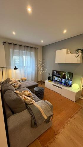 里斯本Charming apartment in Lisbon的带沙发和平面电视的客厅