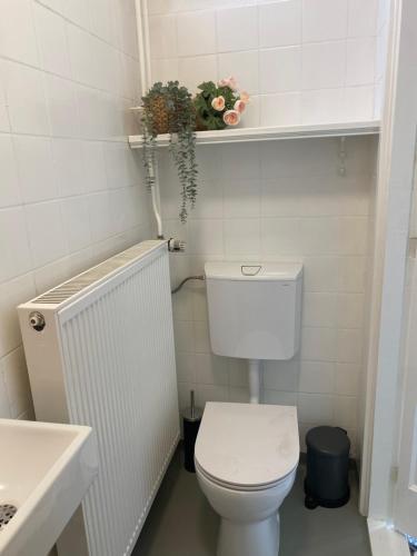 德拉赫滕Free Fly Loft Drachten的白色的浴室设有卫生间和水槽。