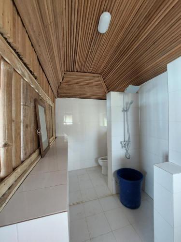 OuidahBel Ami的一间带卫生间和木制天花板的浴室