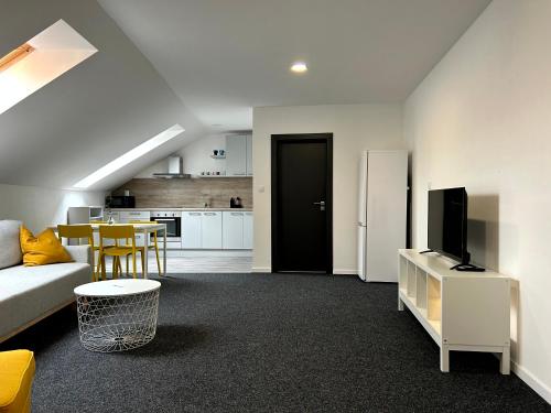 兹林BREZA HOUSE apartments的带沙发和电视的客厅以及厨房。