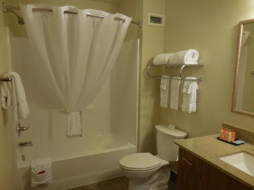 比林斯比林斯莱之斯通酒店的带淋浴、卫生间和盥洗盆的浴室