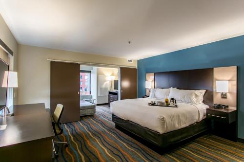 查塔努加查塔努加假日酒店及套房的酒店客房设有一张大床和一张书桌。