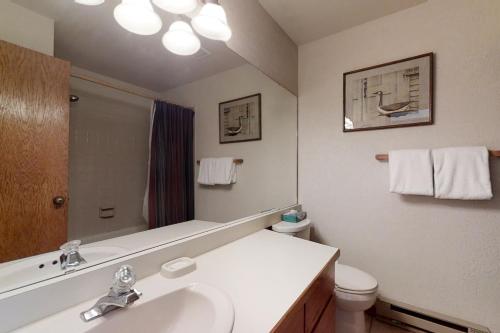 斯廷博特斯普林斯Snow Flower 309的一间带水槽、卫生间和镜子的浴室