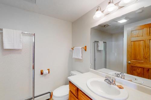 JayJay Peak Village Home 367A&B的一间带水槽、卫生间和镜子的浴室