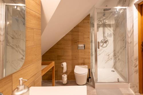 克拉科夫Zakątek Apartments的带淋浴和卫生间的浴室