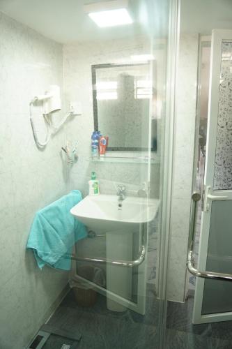 拜蒂克洛Nilo's Guest House的一间带水槽和镜子的浴室