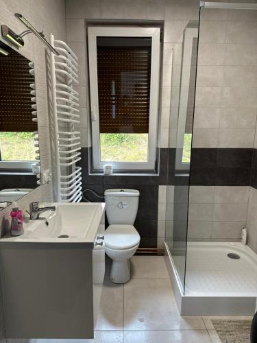 RopienkaDomek u Pilota的浴室配有卫生间、盥洗盆和淋浴。