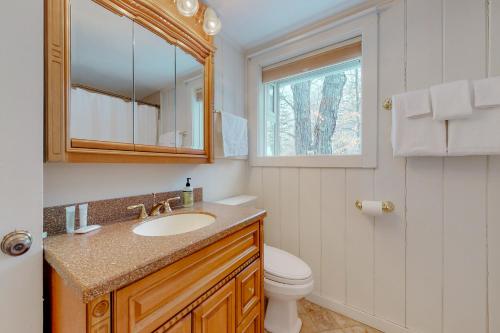 BridgtonChalet at Shawnee的一间带水槽、卫生间和镜子的浴室