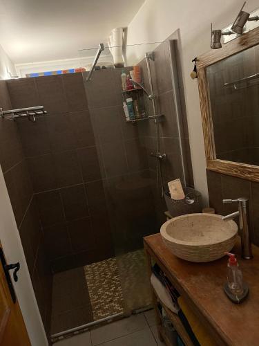 萨莱比梅Appart charmant - Lumineux的带淋浴和水槽的浴室