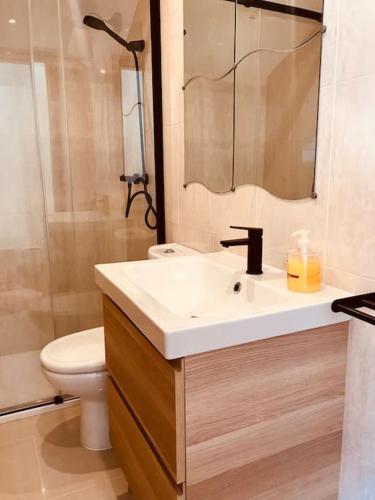 坎巴多斯Apartamento estudio en Cambados Fefiñanes的一间带水槽、卫生间和镜子的浴室