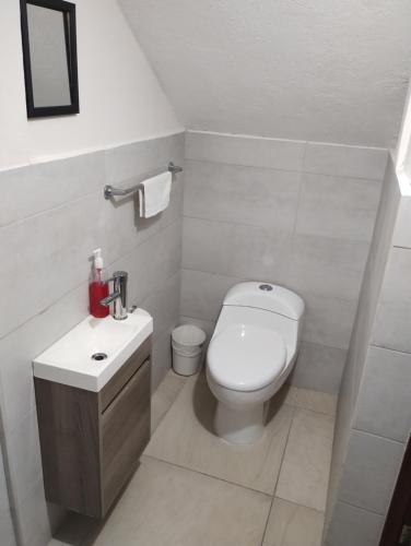 坦皮科Departamento México的白色的浴室设有卫生间和水槽。