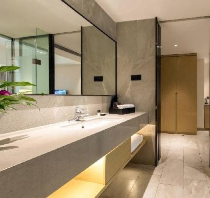 佛山佛山金美域林禧酒店的一间带水槽和大镜子的浴室