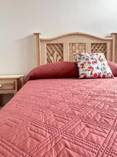 瓜达拉哈拉Casa Alcalde Alojamiento centro Guadalajara的一张带粉红色被子和枕头的床