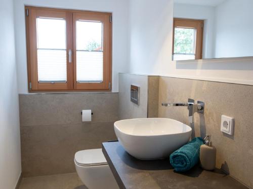 普夫龙滕Alpinchalet的浴室配有白色水槽和卫生间。