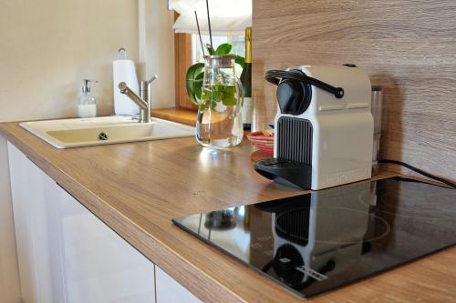 斯马尔诺Suites DANICA的厨房柜台配有吹风机和烤面包机
