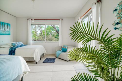 普拉亚埃尔莫萨Hermosa Wave A2 & B2的一间卧室配有床和沙发,还种植了棕榈树