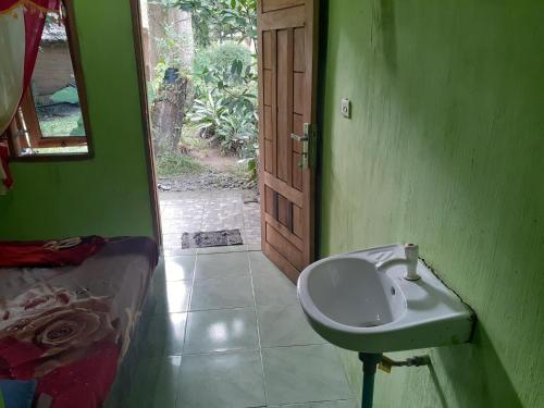 武吉拉旺Jhony's Backpacker-Guest House的绿色浴室设有水槽和门