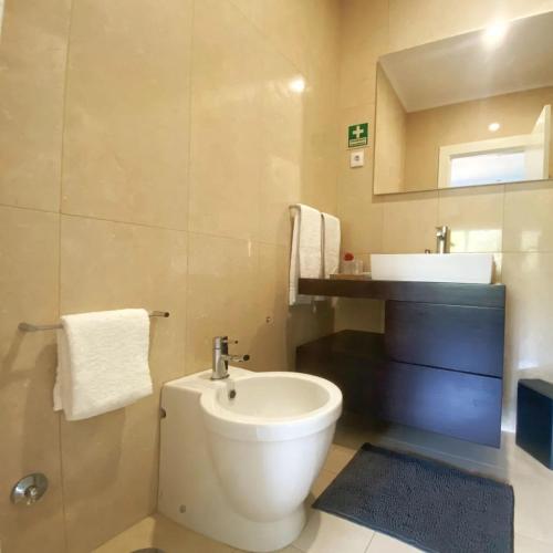 Santa Cruz do DouroRefúgio Douro abelhal的浴室配有白色卫生间和盥洗盆。