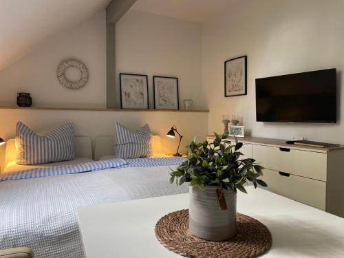 明斯特Weberhof Apartment 6的一间卧室配有一张带电视和盆栽的床铺