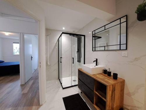 兰斯Camden - Extérieur et parking的一间带水槽和镜子的浴室
