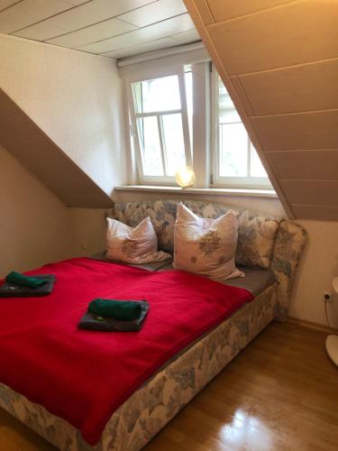 Wutha-FarnrodaTannhäuser Hörselhäuschen的一间卧室配有一张带红色毯子的沙发