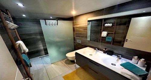 马斯帕洛马斯Chalet Privato con Jacuzzi New的一间带水槽、卫生间和镜子的浴室