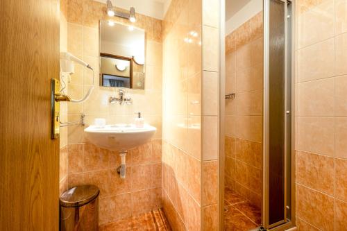 Zlatá Koruna坎普克朗膳食公寓酒店的一间带水槽和淋浴的浴室