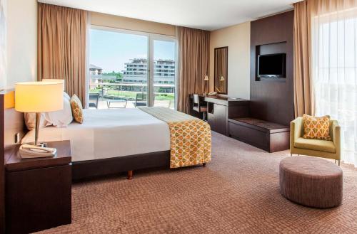 蒂格雷蒂格雷温德姆诺代尔塔酒店 - 布宜诺斯艾利斯的配有一张床、一张书桌和一扇窗户的酒店客房