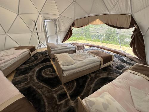 纳伦Tenir-Too Glamping的帐篷内带四张床的房间