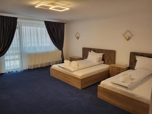 莱斯诺夫Pensiunea Lara的酒店客房设有两张床和窗户。