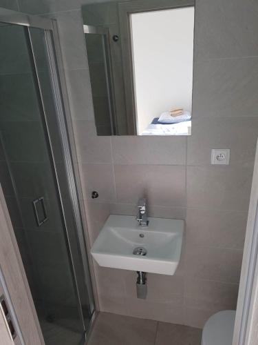 兹诺伊莫Apartmán Podyjí的一间带水槽、淋浴和镜子的浴室