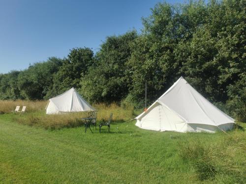 维斯贝希Lainey's Rest的田野上的两个帐篷,配有桌椅