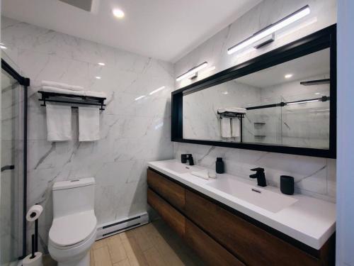 OrfordChalet Escapade Orford的一间带卫生间、水槽和镜子的浴室