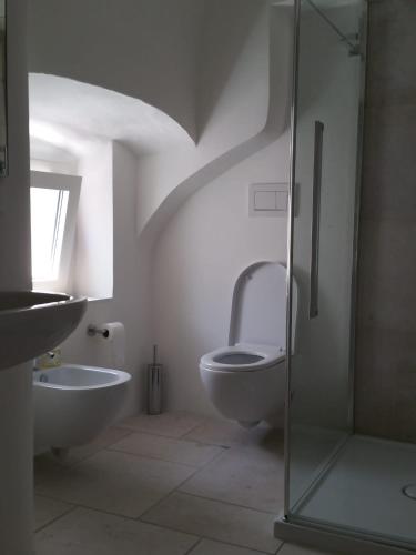 佩斯基奇Casa Suyan的带淋浴、卫生间和盥洗盆的浴室