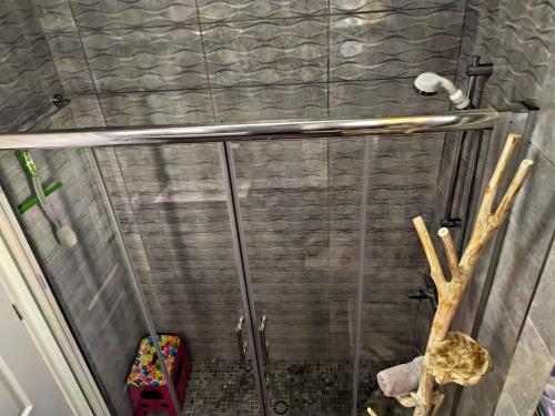德尔锡伦西奥海岸Cosy 2 bedroom near sea Costa del Silencio的淋浴间设有玻璃门和淋浴