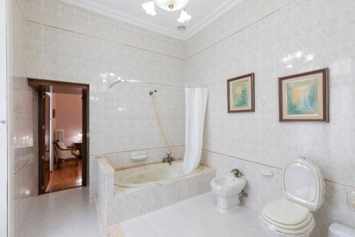 雷凯蒂奥Jauregi - baskeyrentals的带浴缸、卫生间和盥洗盆的浴室