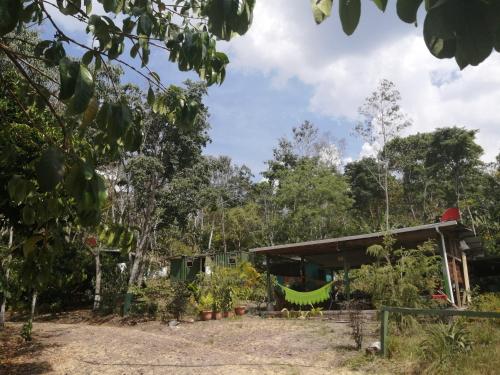San RamónFinca Los 3 Laureles Nicaragua AgroEcolodge的树林中的房屋,前面设有吊床