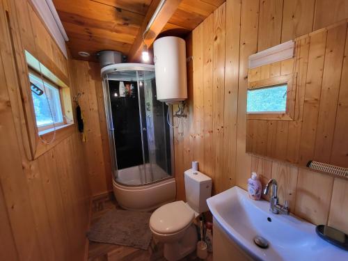 Miejsce w lesie的一间带卫生间和水槽的浴室