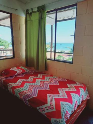通贝斯La palmera zorritos的一张位于带2扇窗户和床罩的房间的床位